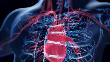 Yuichiro Chino/Getty Images