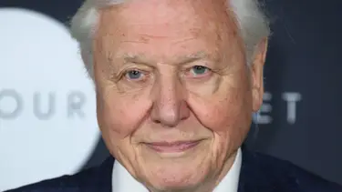 Mike Marsland/Mike Marsland/WireImage/Getty Images