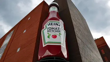 BD Images/Getty Images