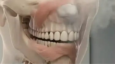 dr.boogie/TikTok