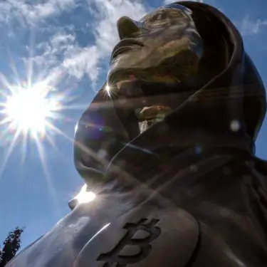 Janos Kummer / Stringer / Getty