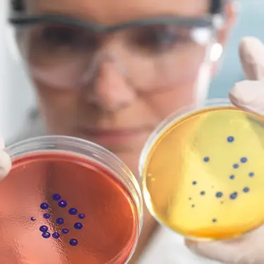 Rafe Swan/Getty Images