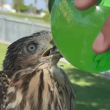 California Department of Fish and Wildlife/Facebook