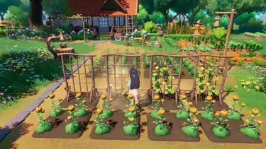Seed Sparkle Lab