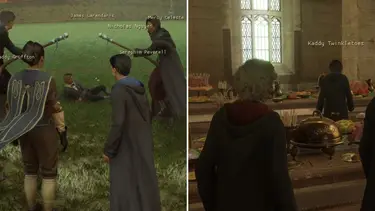 HogwartsMP Team