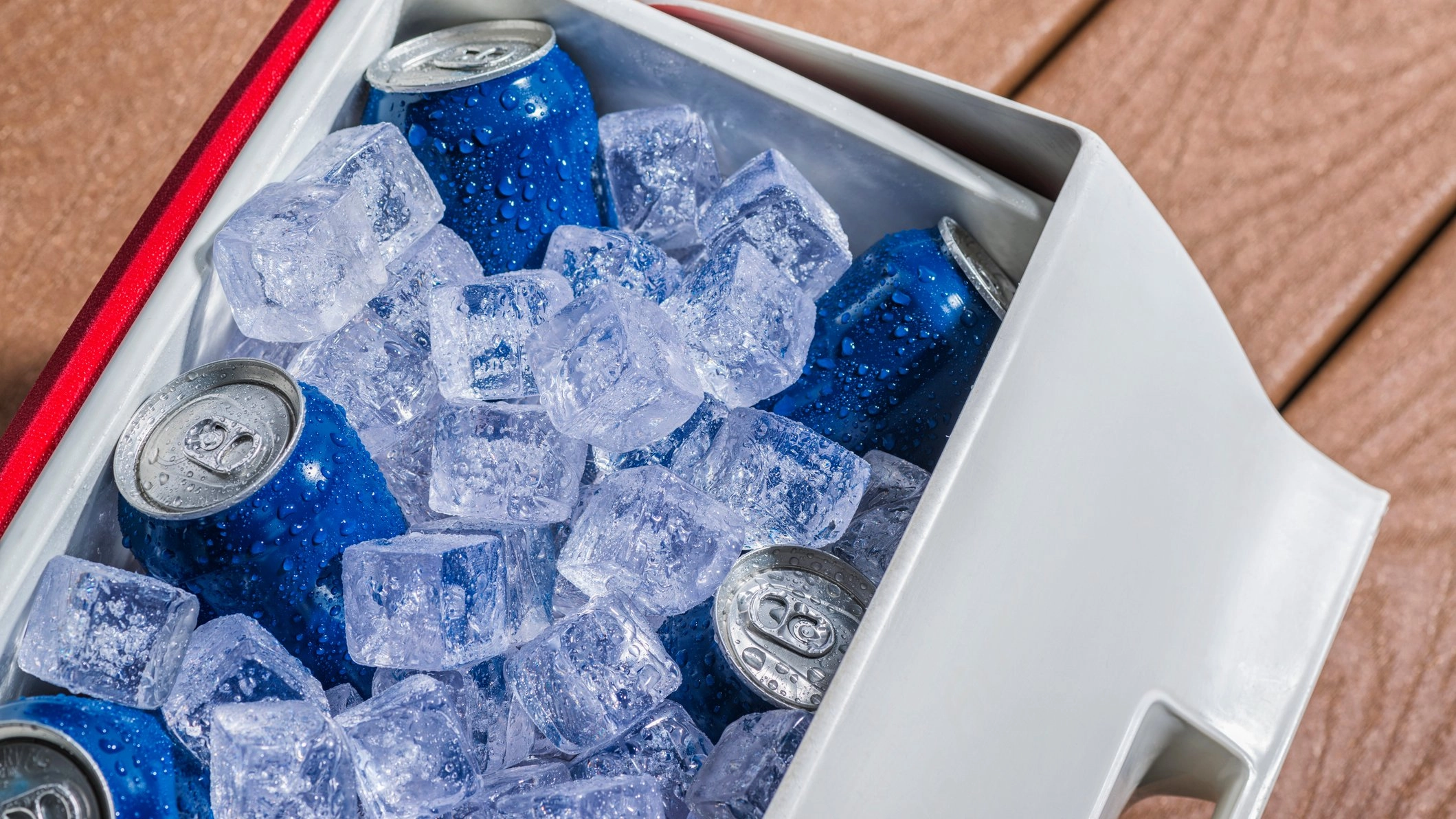 Incredibly grim reason why nearly 1.2 million coolers have been recalled
