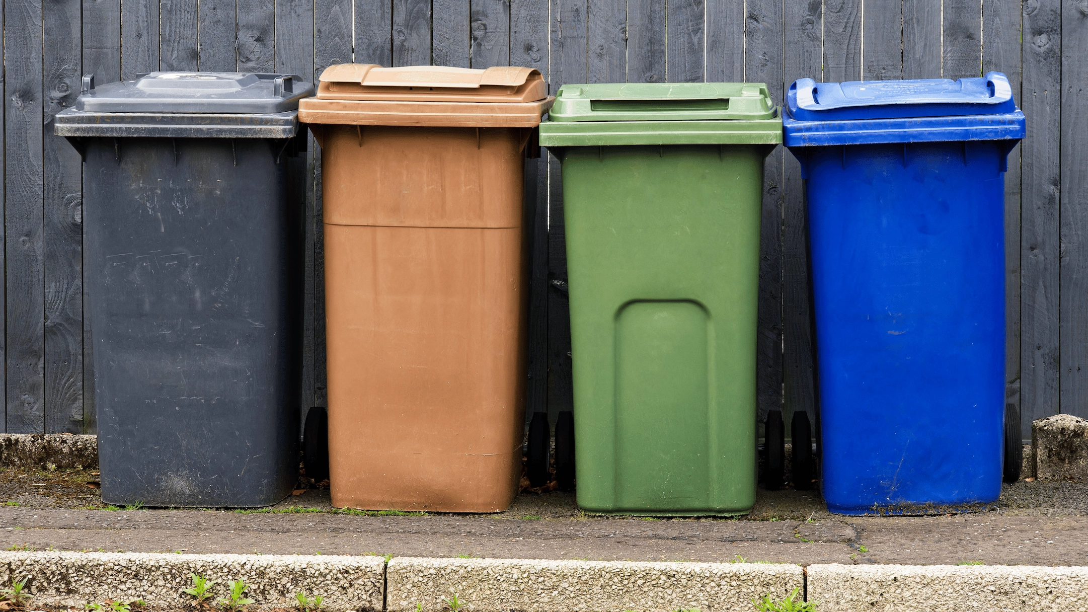 UK's new 'four bin' rule comes into effect next month