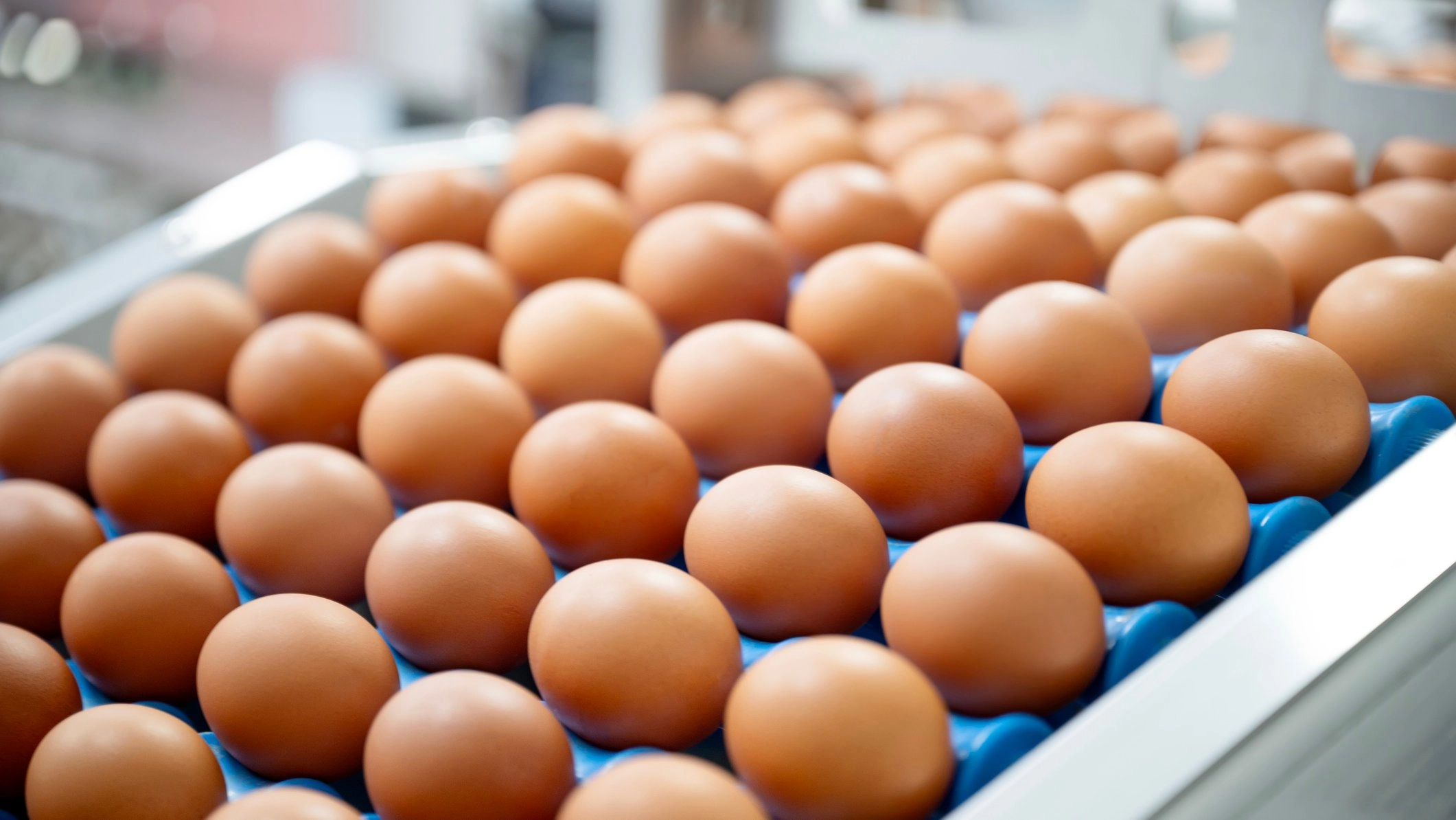 Expert warns why it’s a bad idea to cook eggs straight from the fridge