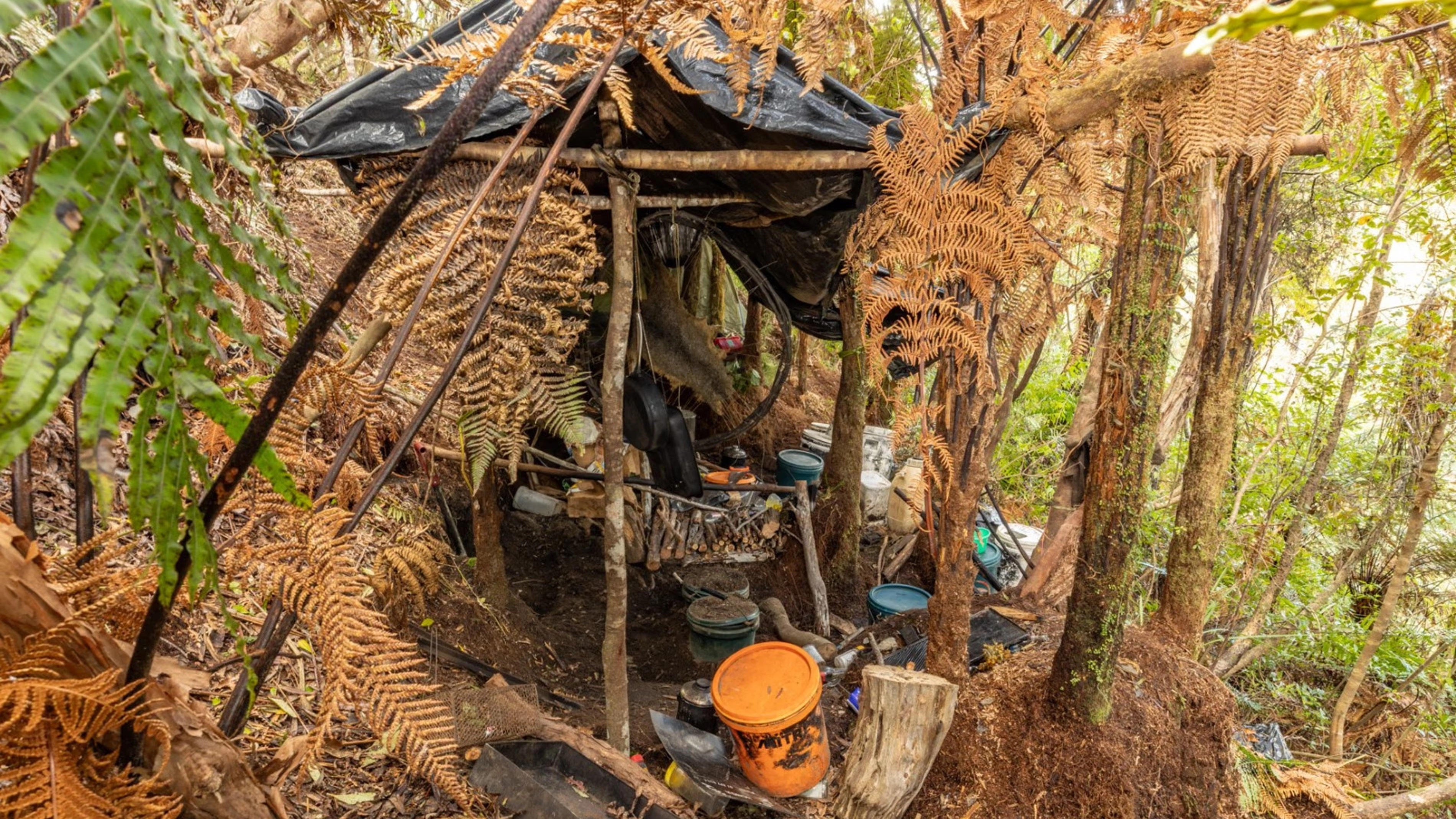 New photos of fugitive dad Tom Phillips' campsite show how family survived in wilderness