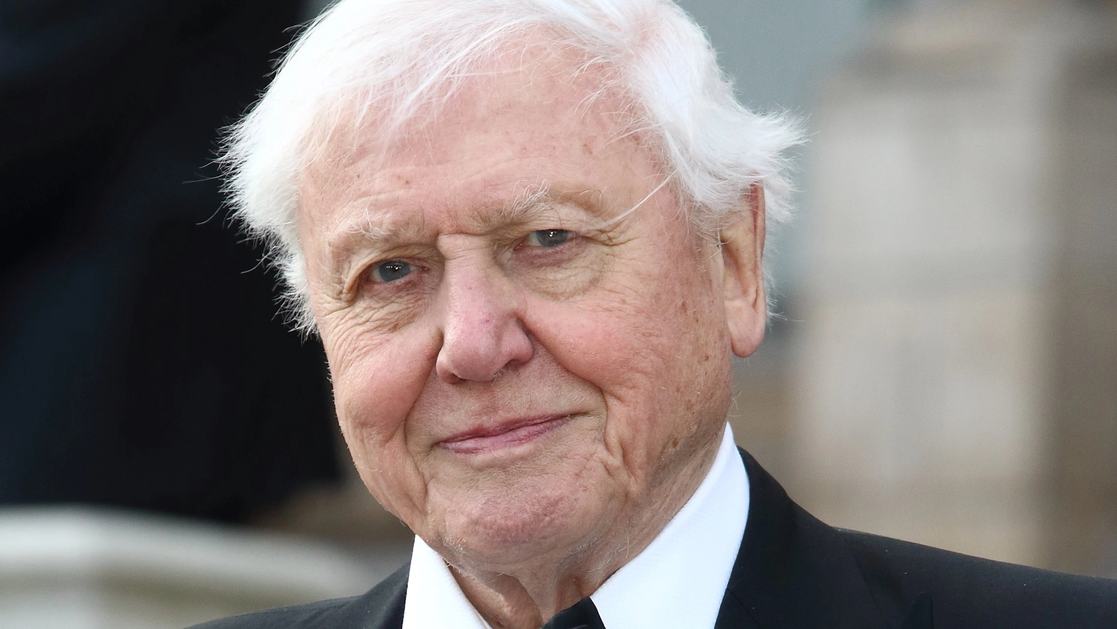 David Attenborough's diet change he credits for long life at 99
