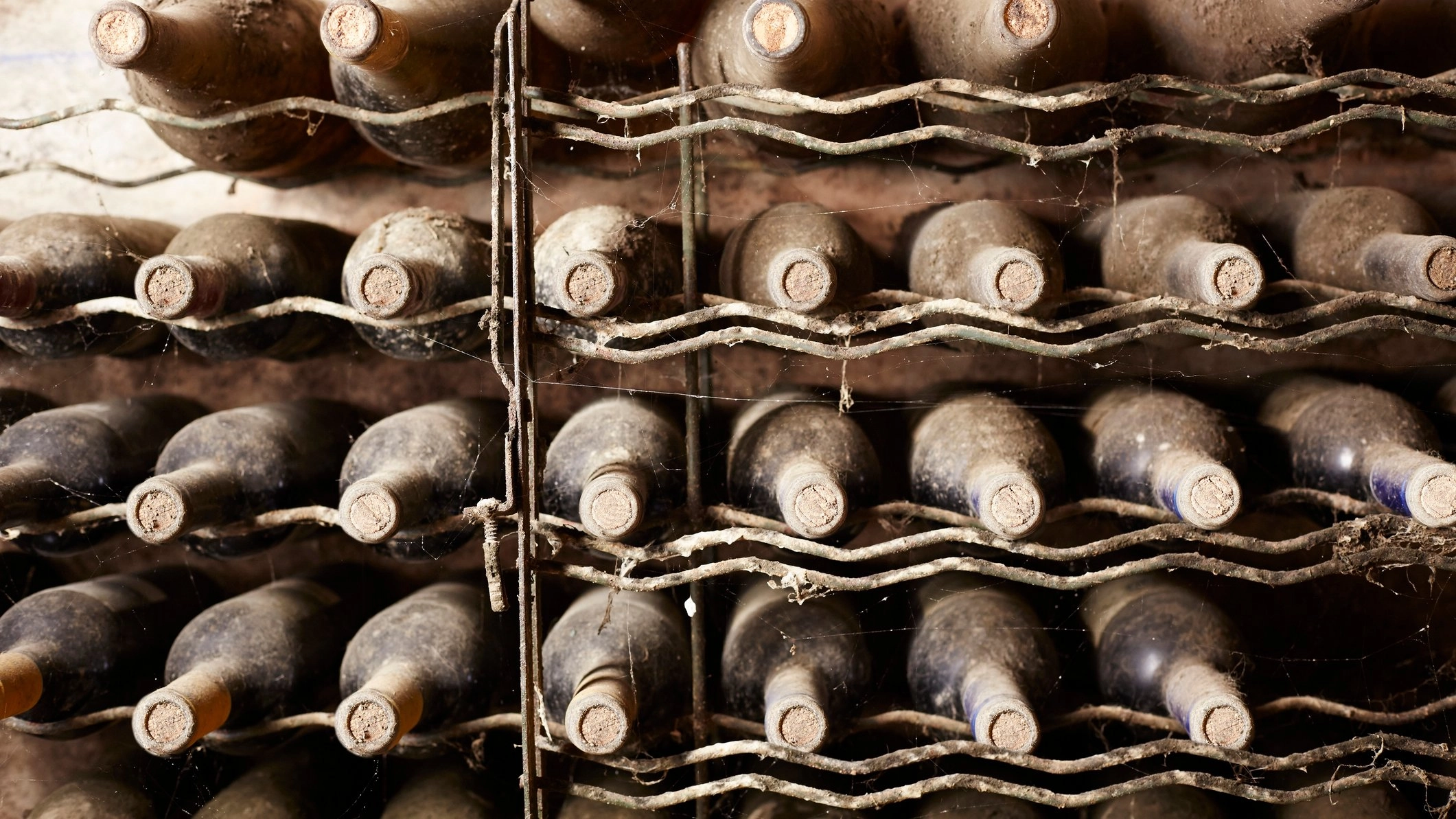 Horrifying secret ingredient in the oldest wine ever discovered