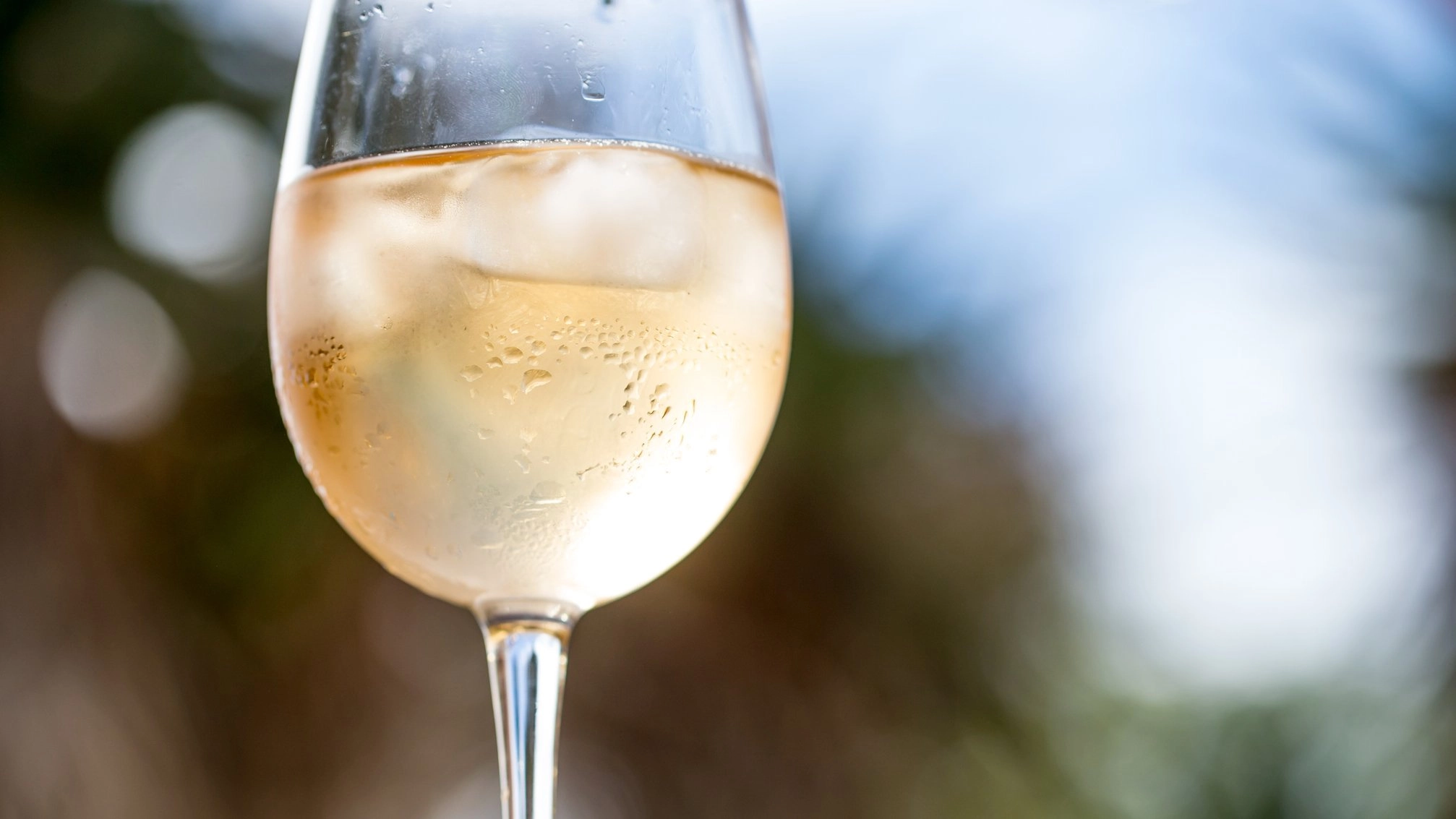 Customer asks for ice in their wine and gets a frosty response