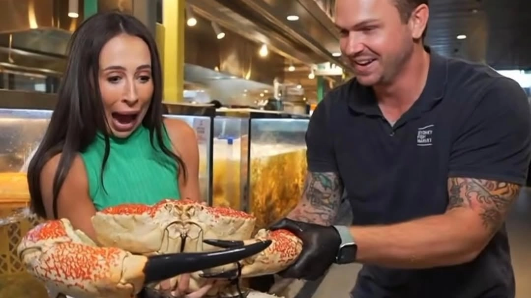 Reporter hospitalised after painful run-in with crab live on air