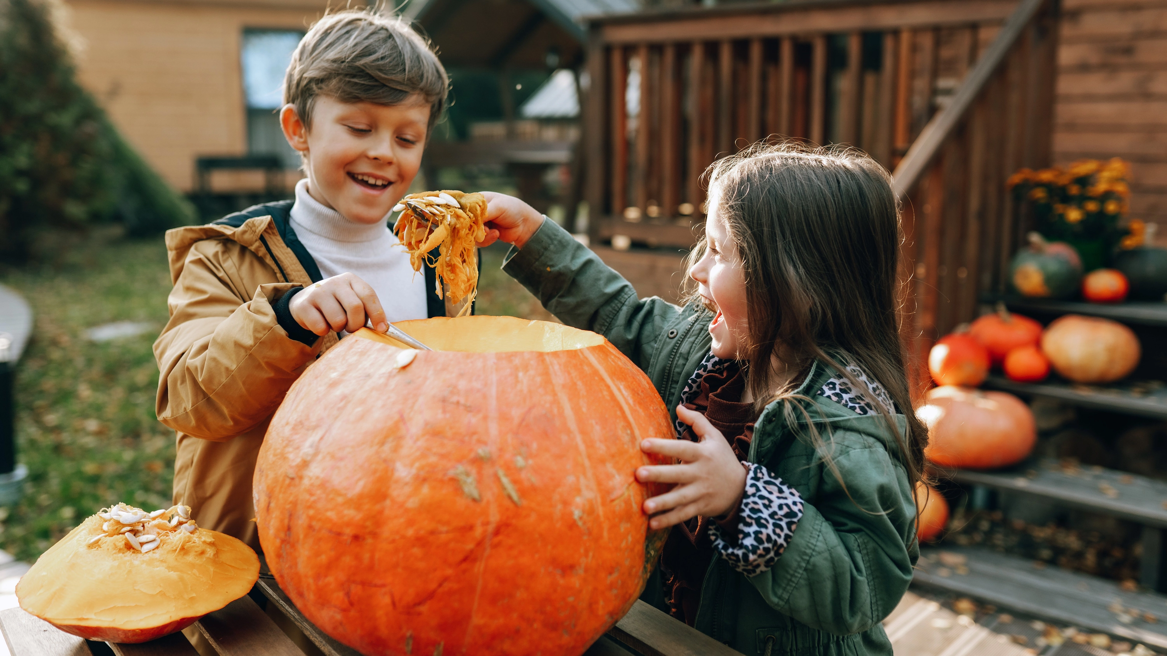 Warning over eating pumpkin flesh after carving it