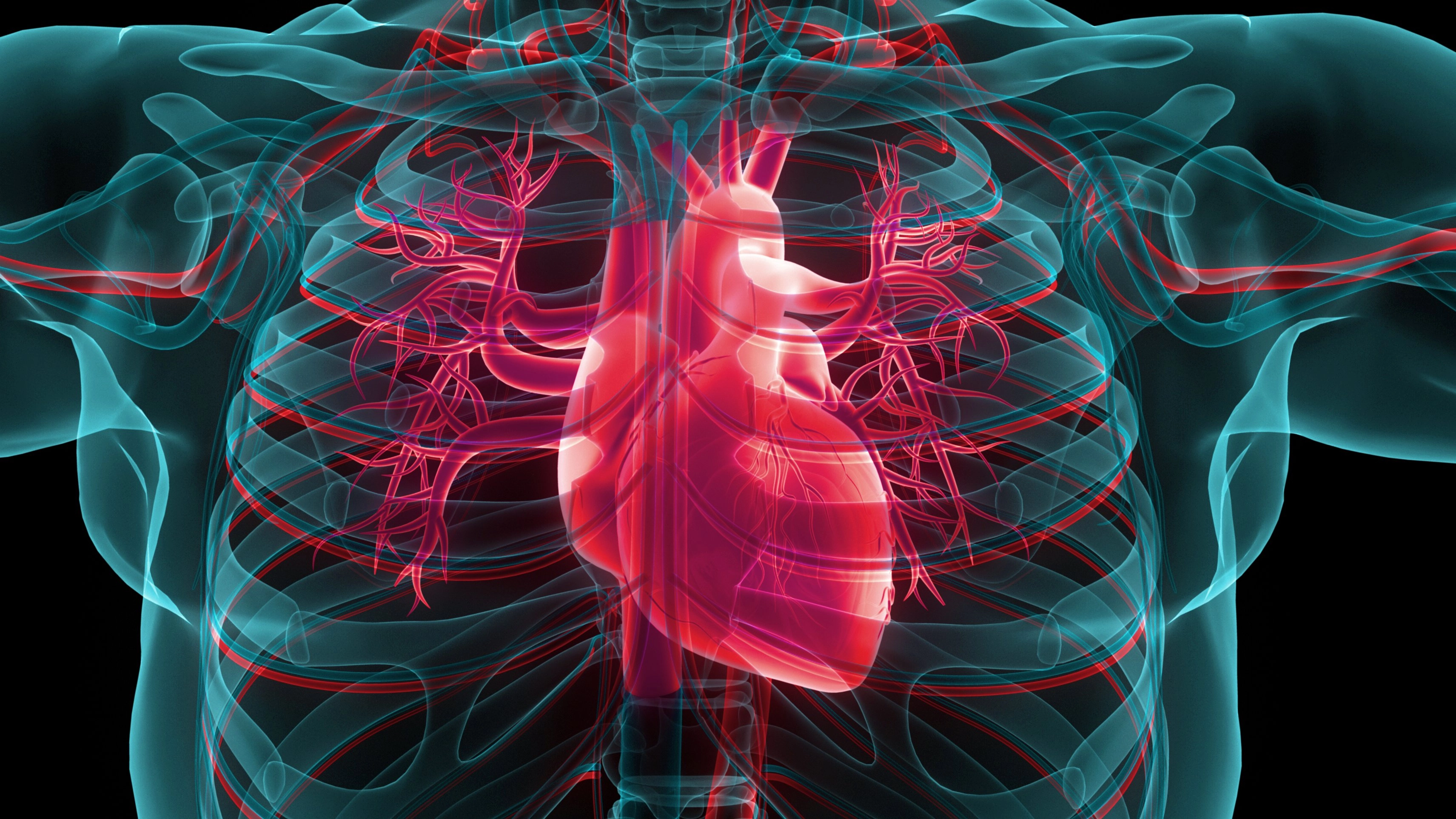 New 9-step dietary guidelines released by American Heart Association