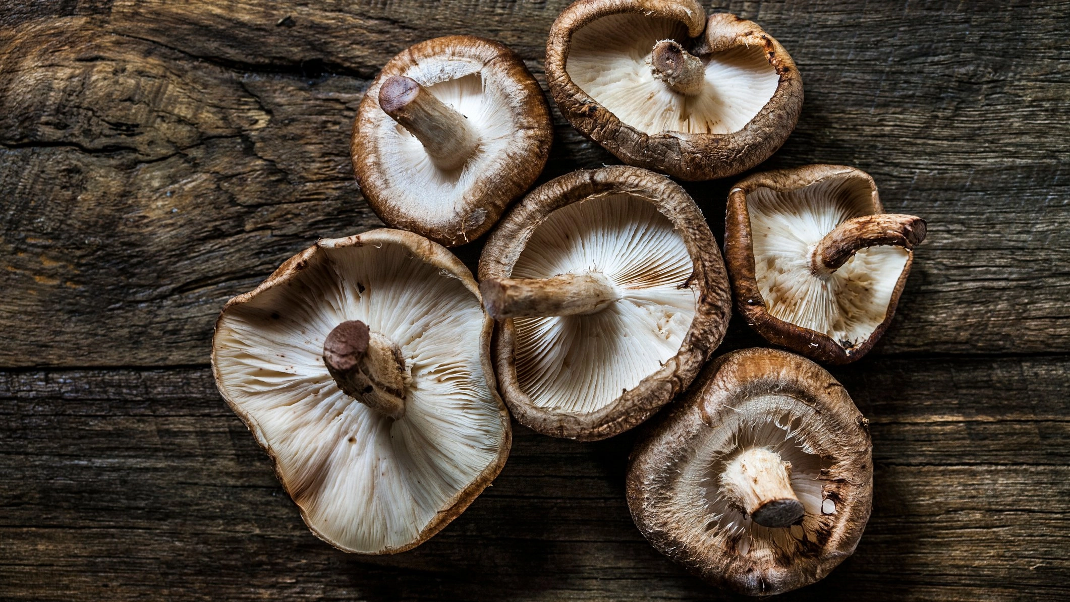 Warning over seriously disturbing reactions to undercooked mushrooms