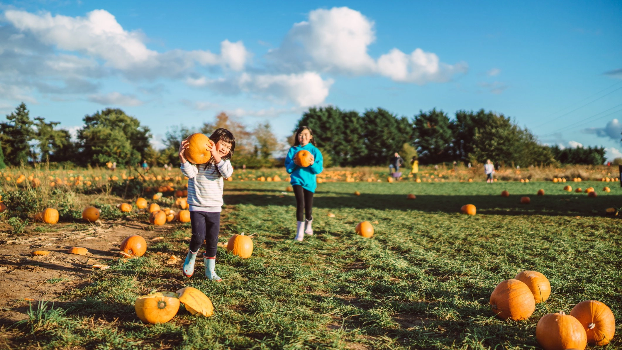 A revelation around pumpkin patches has got some saying their “life is a lie”