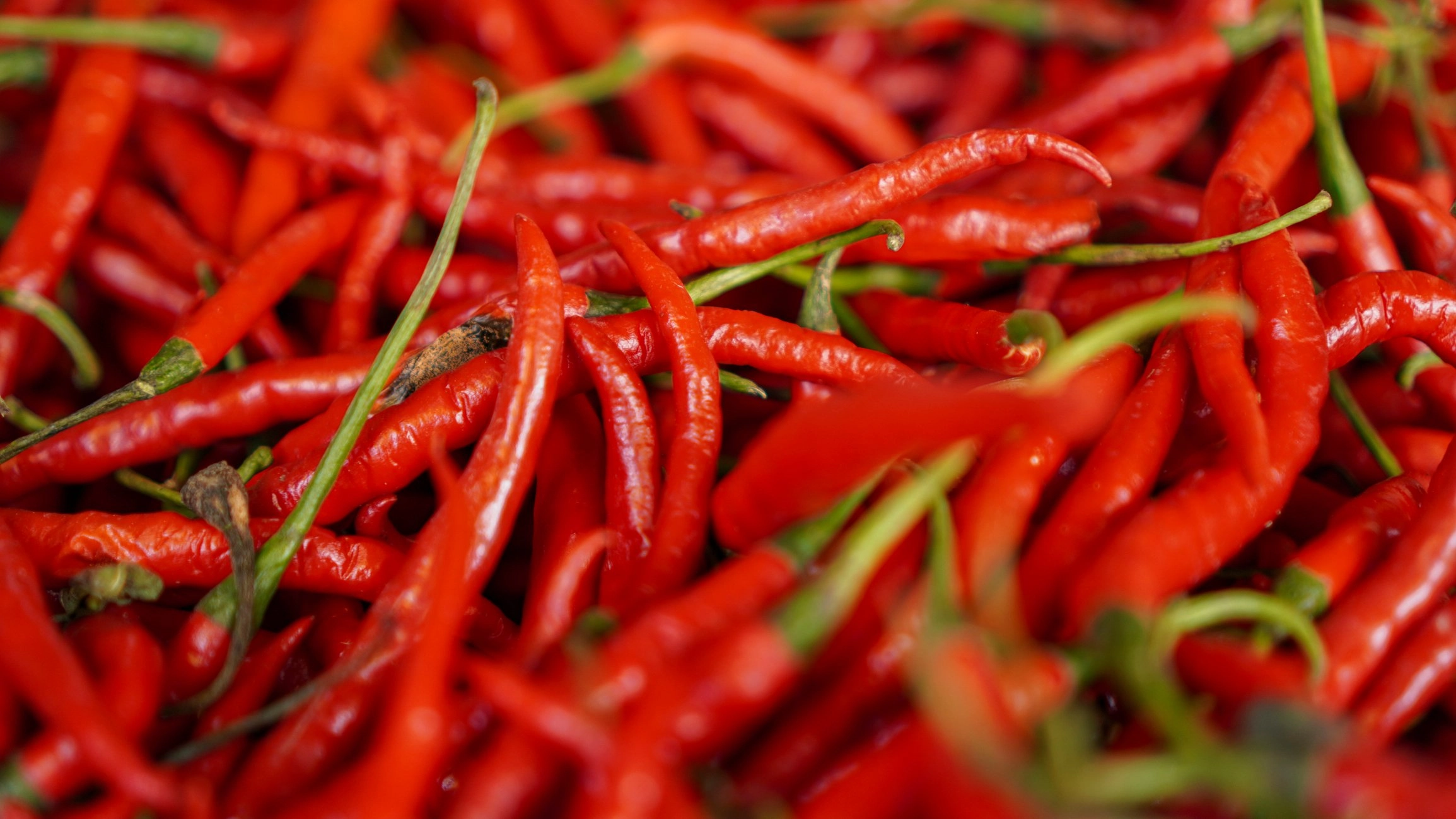 Scientists say chillis could be the trick to eating less thanks to key property
