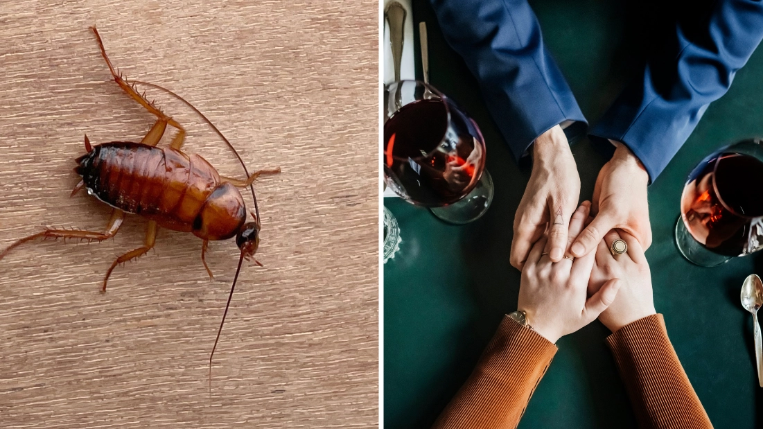 How to tell if you’re falling victim to latest dating trend ‘roaching’ as Gen Z are issued warning