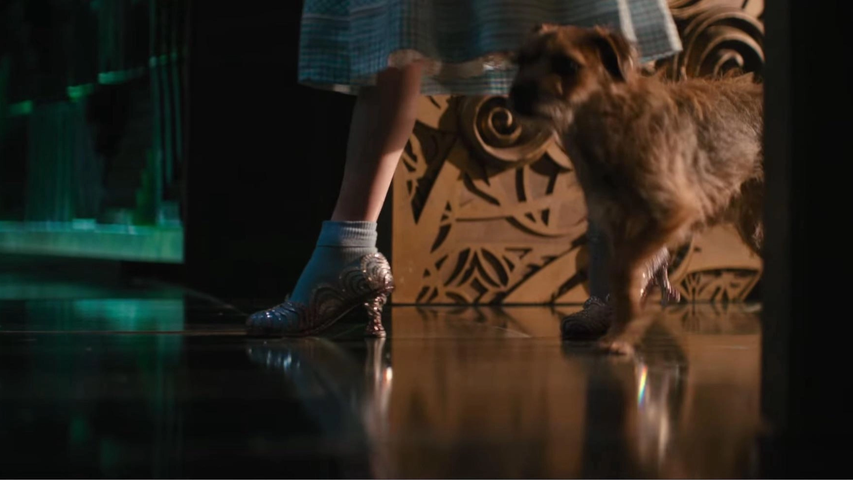 Wicked fans ‘disappointed’ over dog chosen to play Toto