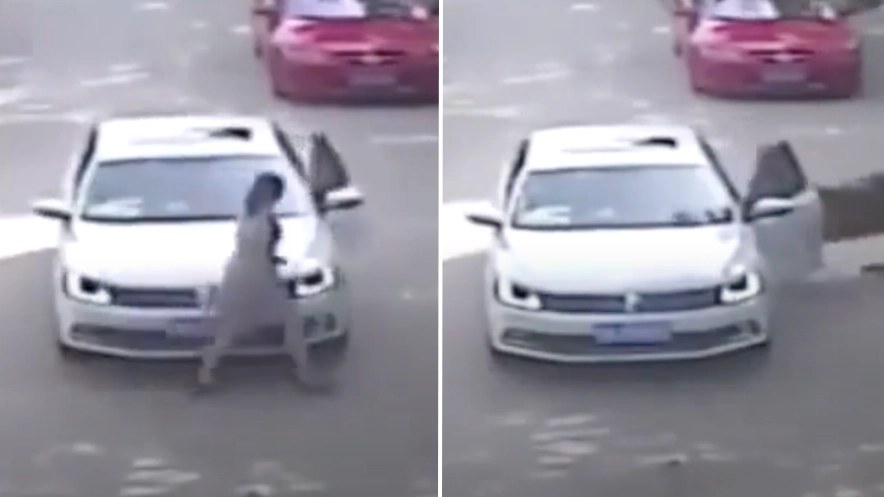 Terrifying final moments of a mother eaten alive by safari park tiger after trying to rescue daughter