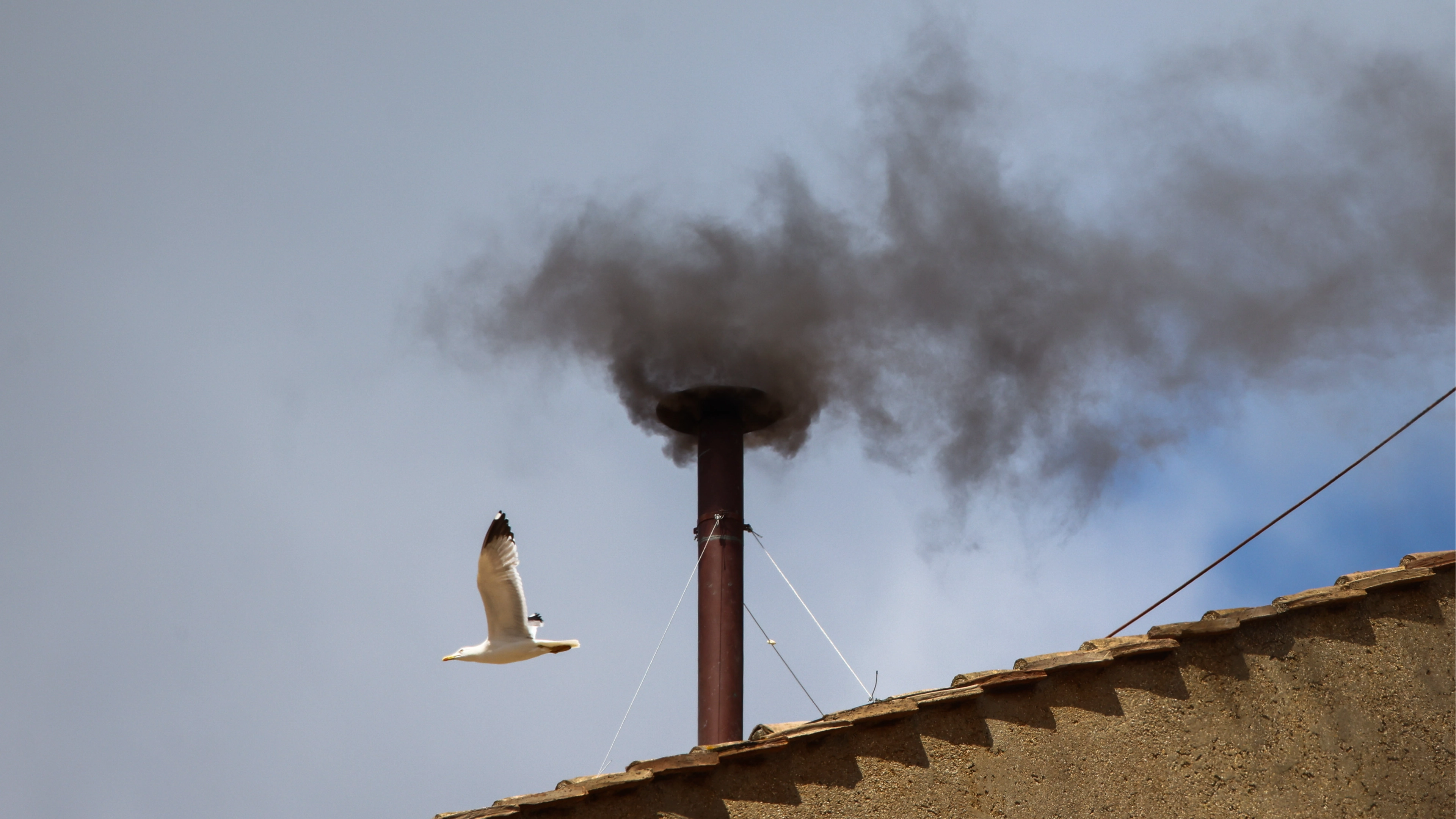 Unexpected conclave guest sparks bizarre 'spy' conspiracy theory