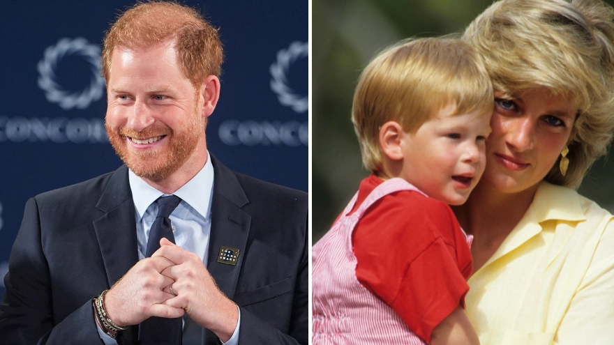 Prince Harry makes heartfelt speech about Princess Diana after following in her footsteps