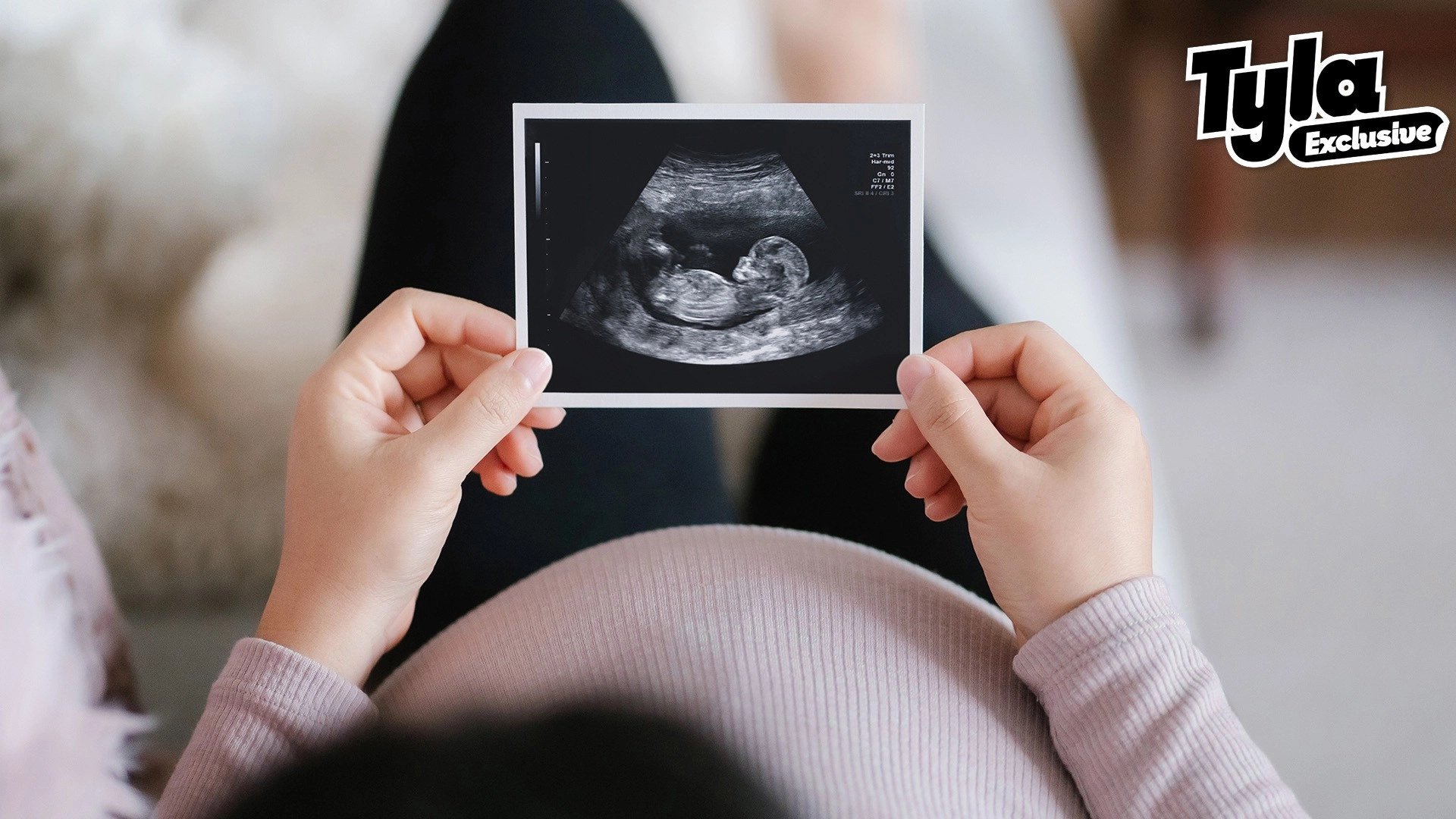 There could be a baby boom soon and it's got nothing to do with the date