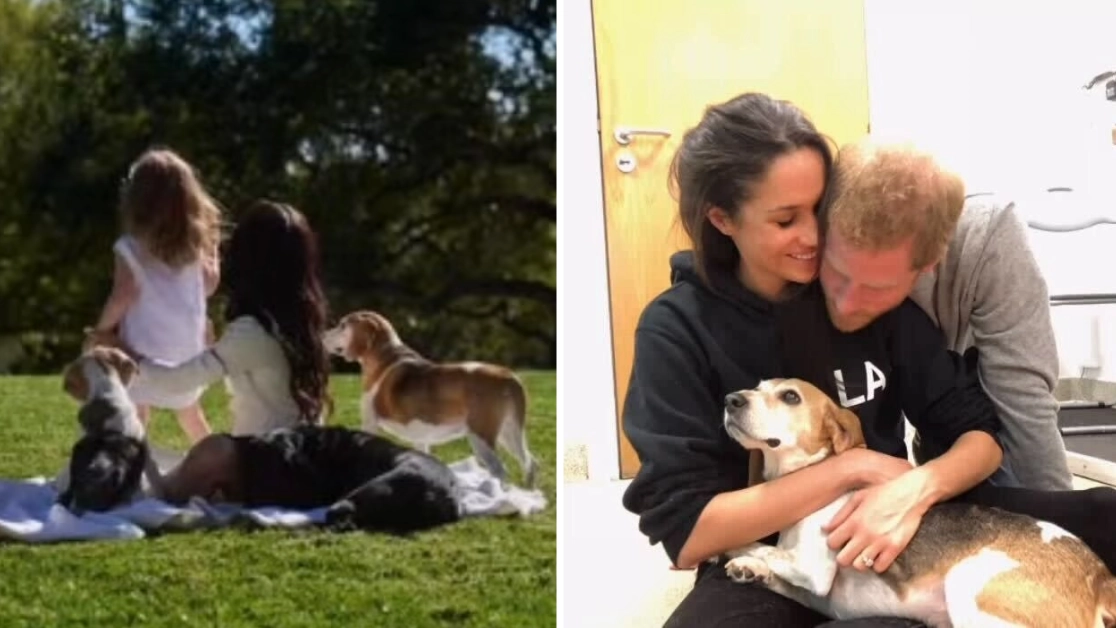 Prince Harry and Meghan Markle's kids' voices heard for the first time in emotional video following family tragedy