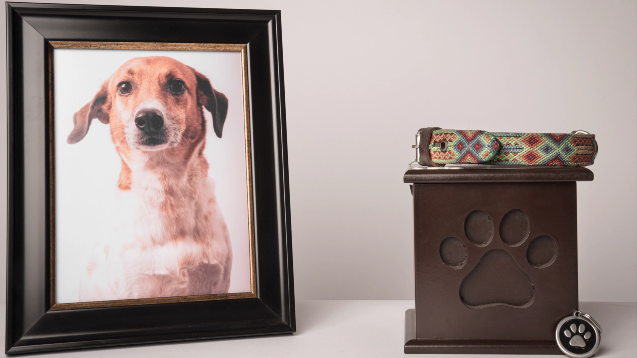 Outrage as people trusted man to cremate pets only to 'discover shocking truth'