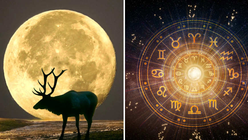 Astrologist issues relationship warning over this weekend's Buck Moon