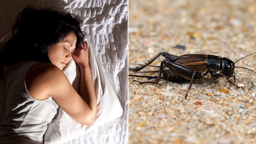 'Cricketing' is bizarre movement you can do in bed that will help you fall asleep quicker