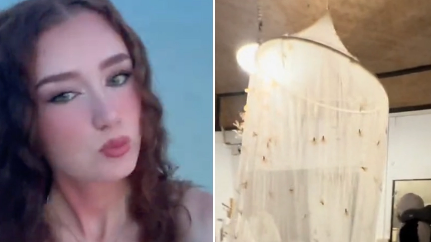 Woman left horrified after hotel room is invaded with ‘killer’ snake and ‘2,000 moths’