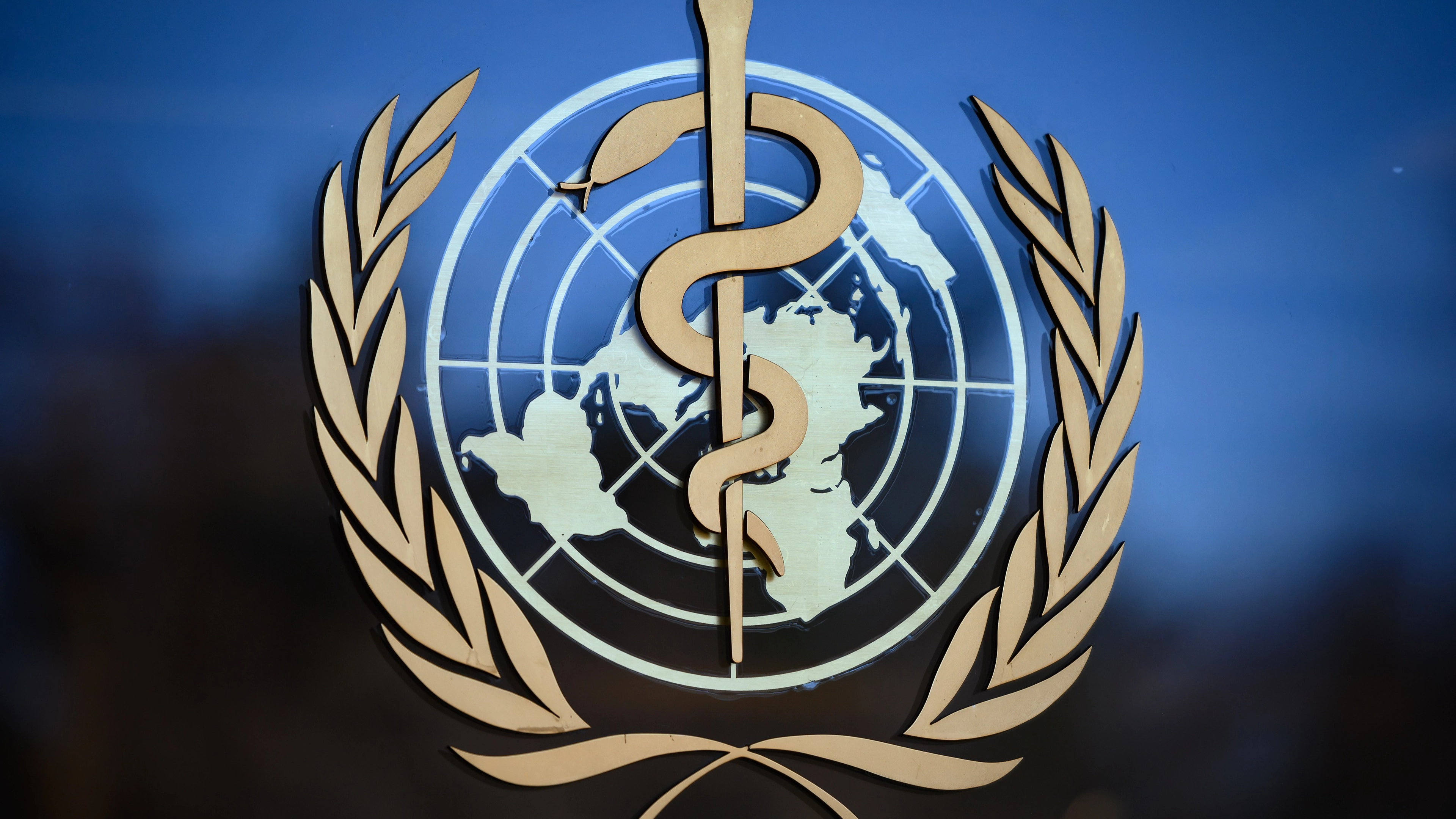 The US just officially left the World Health Organisation - here's what it really means