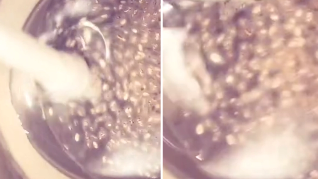 Gen Z are now obsessed with ‘tadpole water’ trend and it’s pretty controversial