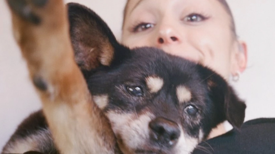 Grief specialist breaks down the effects of losing a pet after Ariana Grande shares dog Coco has died
