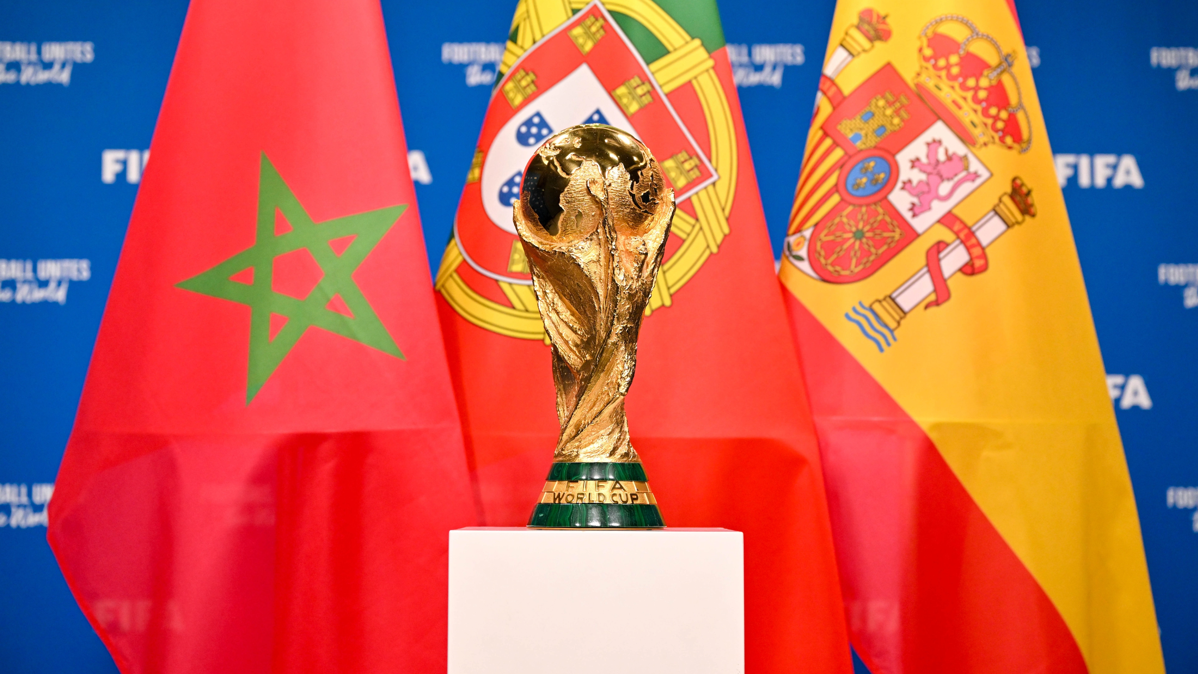Morocco is killing thousands of stray animals ahead of 2030 Word Cup