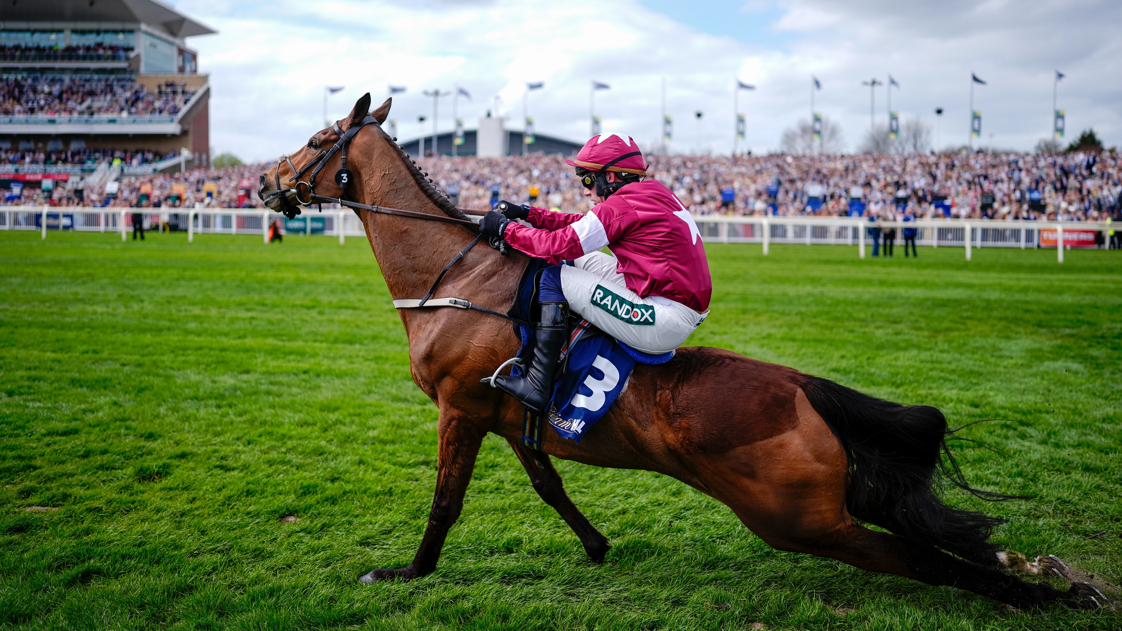 Grand National jockey explained reason for forcing injured horse to finish race before dying