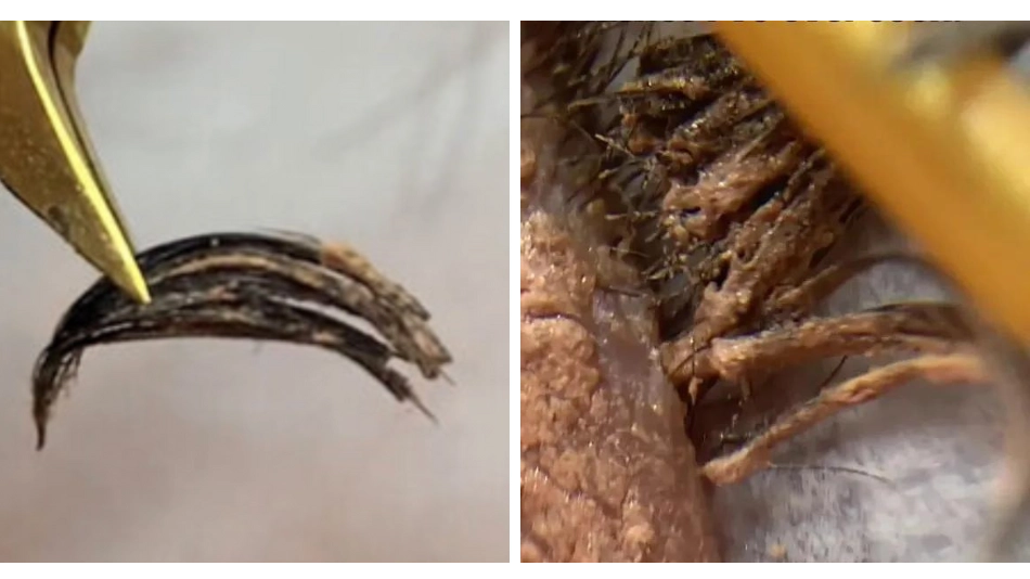 Lash tech horrified after client came with 'worst case of dirty lashes she'd ever seen'