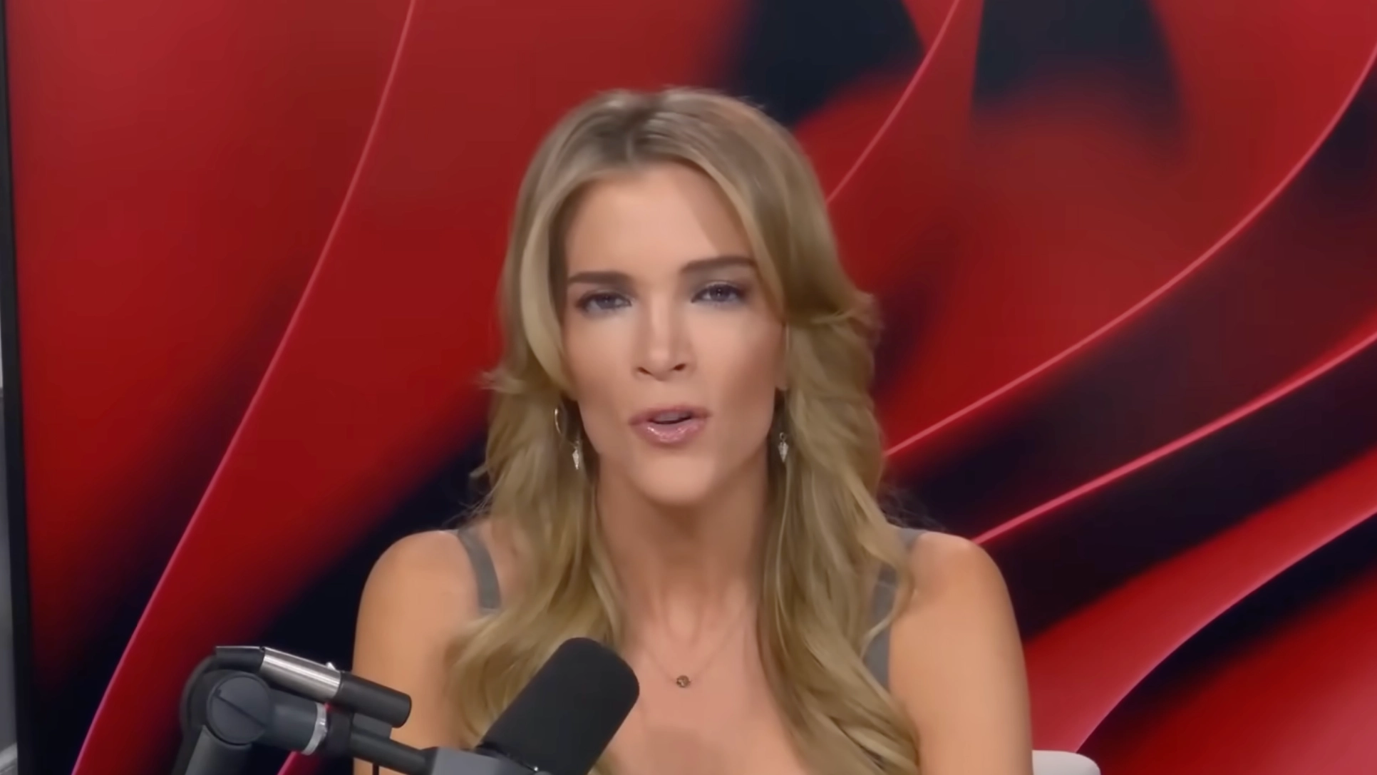 Megyn Kelly slams Donald Trump with 'shocking' corruption claim