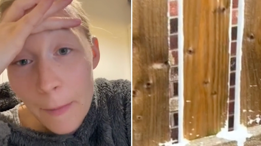 Mum stunned as 'nightmare neighbours' ruin garden fence after painting it
