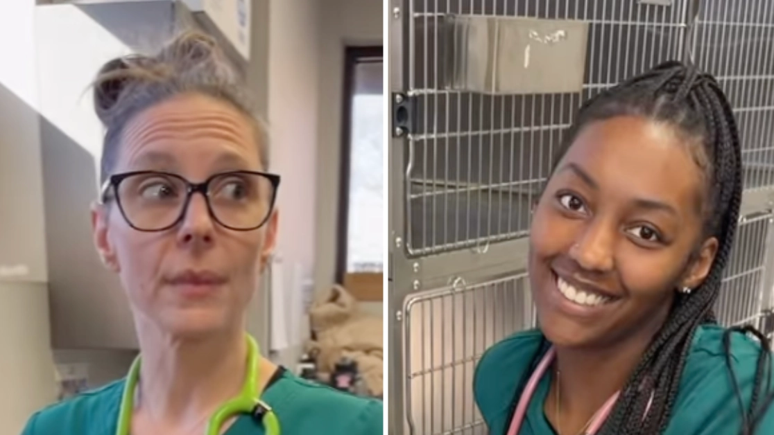Vets reveal the most ‘overused’ pet names and one in particular keeps coming up