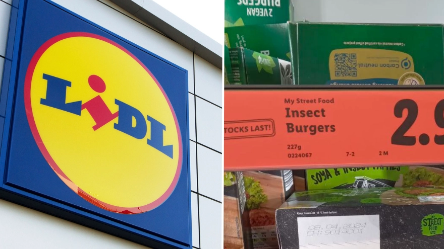 Lidl launches ‘insect burgers’ made with real beetles