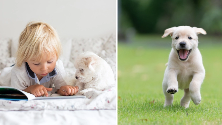 Woman Told Off By Son's Teacher For Inappropriate Name For Dog