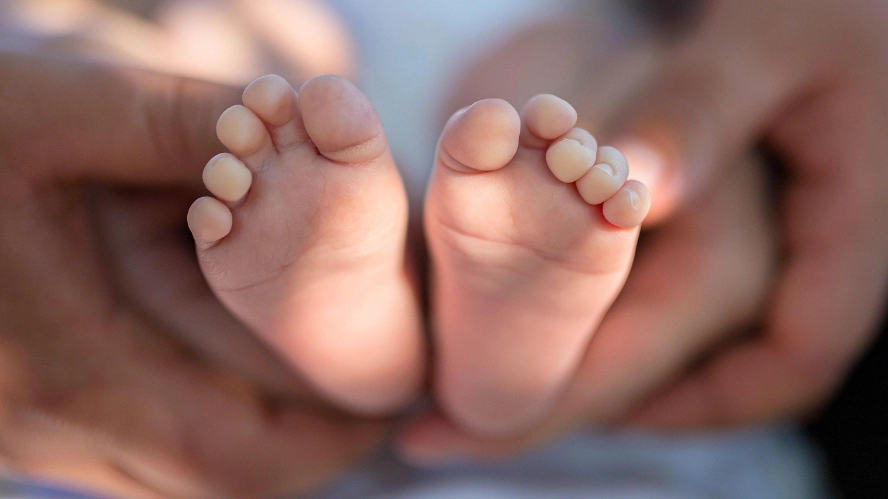 Two-month-old baby boy died after parents left him to sleep in garden shed