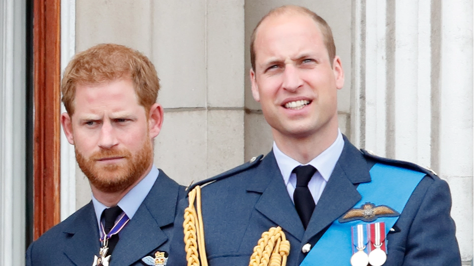 Royal fans have sad theory on why Prince William and Prince Harry don’t acknowledge Princess Diana’s birthday on social media