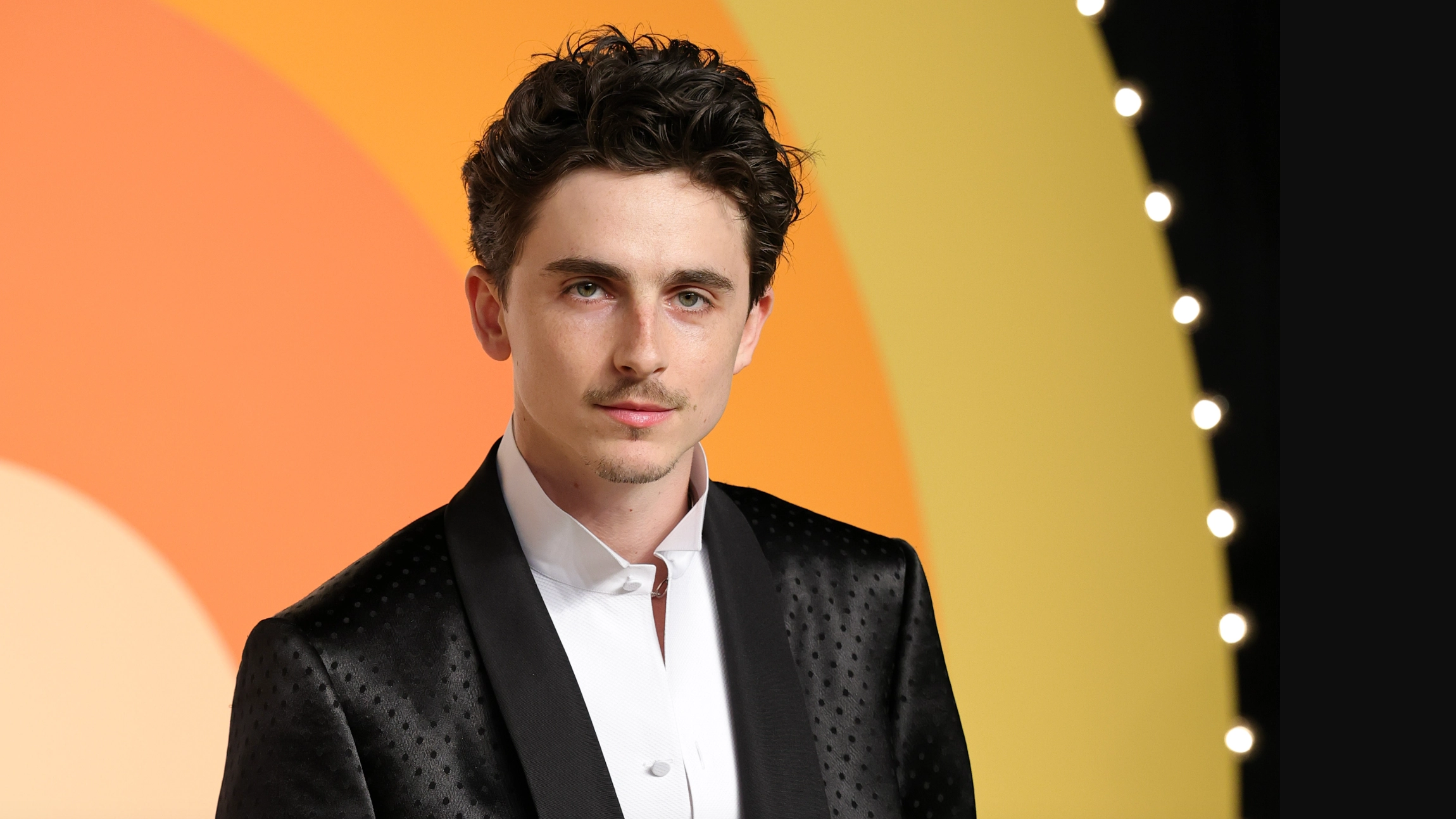 How one Gen X woman became Timothée Chalamet’s most controversial fan