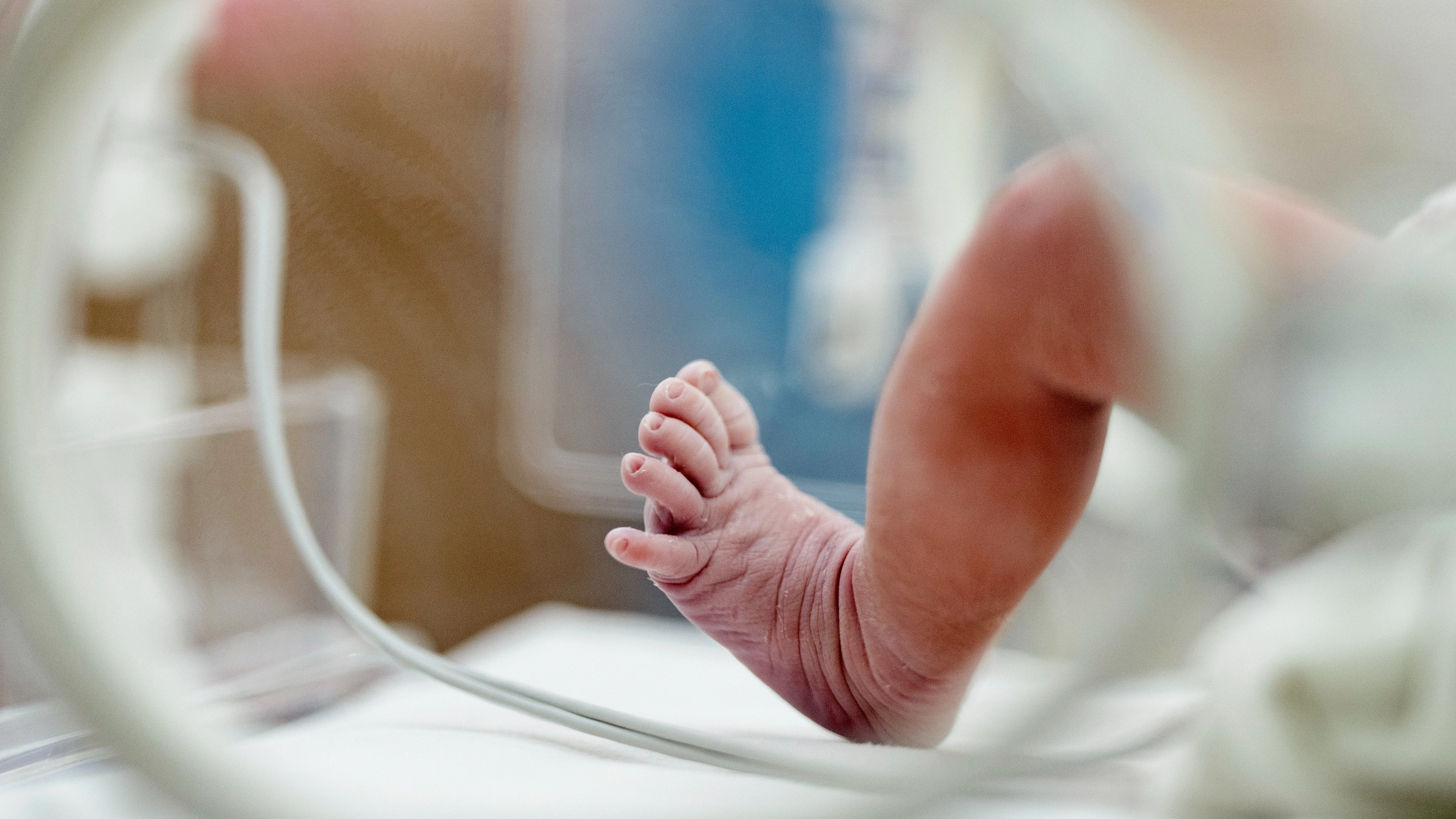 51 babies hospitalised after outbreak linked to milk formula