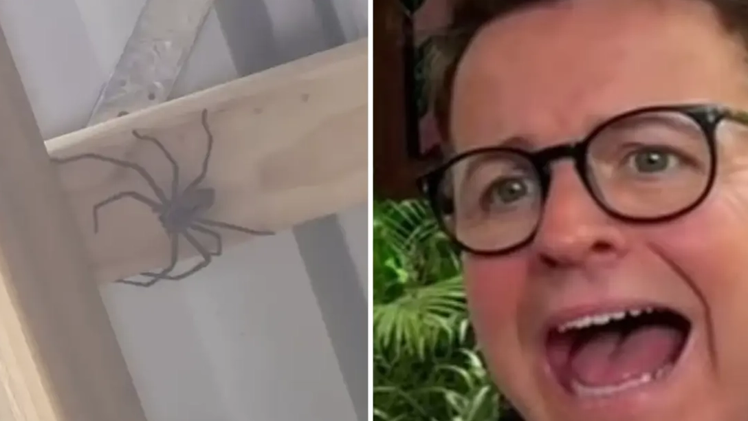 I’m A Celeb medics forced to intervene after Dec suffers unfortunate incident