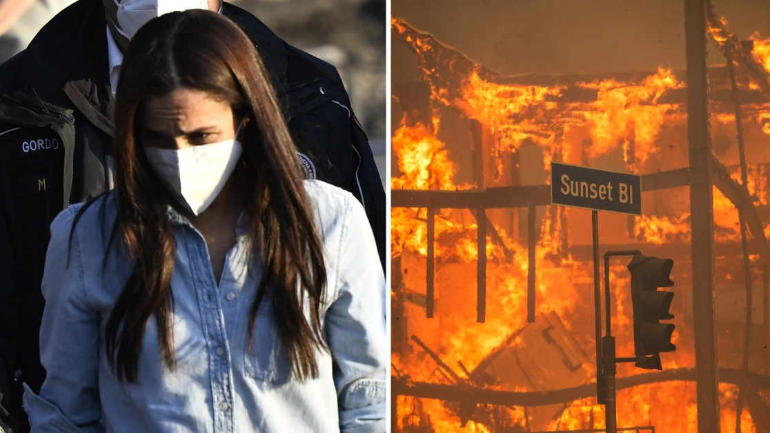 Harry and Meghan defended after LA wildfires photo is branded ‘repulsive’ by critic